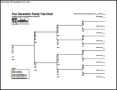 4 Generation Family Tree Free PDF Format Template
