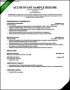Accountant Resume Sample