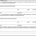 Advance Health Care Power Of Attorney Form