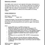 Ali Hammoud CV PDF