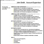 Basic Resume Template