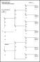 Blank Family Tree Chart Template