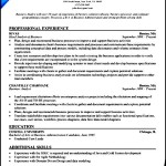 Business Analyst Resume Example
