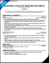 Business Analyst Resume Example