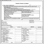 Business Financial Statement Form PDF To Download