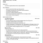 Cashier Resume Example Template