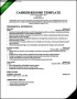 Cashier Resume Template Professional