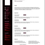 Clean and Professional CV Template