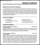Construction Resume Example