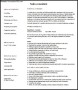 Consultant Resume Example