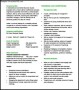 Consultant Resume PDF