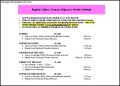 Cruise Port Example Format Free PDF Schedule Template