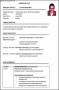 Curriculum Vitae Template