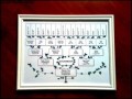 Custom Made Family Tree Chart Sample Template