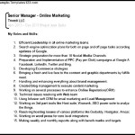 Digital Marketing Expert Resume PDF