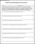 Employee Performance Evaluation Form