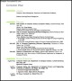 Example Programmer Resume