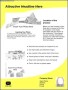 Example Real Estate Flyer Template
