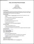 Financial Analyst Resume Example