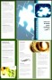 Financial Brochure Template