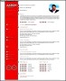 Flat and Clean Resume