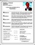Flight Attendant Resume Example