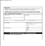 Free Example Of Employee Write Up Form