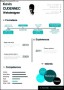 Free Infographic Resume PSD Template