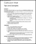 Free Printable Simple CV Template