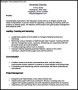 Functional CV Template PDF