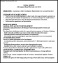 Functional Sales Resume PDF