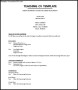 General Simple CV Template