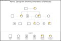 Genogram – Inheritance of Diabetes Template
