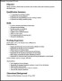 Head Cashier Resume Template