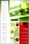 Healthy Eating Brochure Template