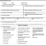 IRS Complaint Form Example