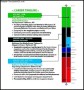 InfoGraphic Designer Resume PDF