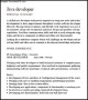 Java Developer Cv Template PDF
