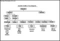 Kamble Family Tree Diagram Format Template