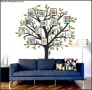Large Family Tree Photo Wall Decal Template