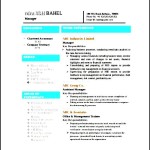 Latest Chartered Accountant Resume Word Format Free Download