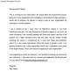 Legal Email Cover Letter