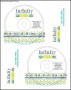 Memorex CD  Label Template