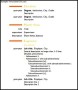 Modern CV Template Free PDF