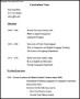 Modern Resume Template Doc