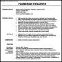 Modern Resume Template PDF Free Download