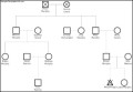 Murphy Family Genogram Template