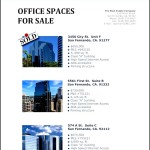 Office Space – Real Estate Flyer Template
