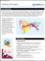 Pediatrics Newsletter Template