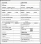Personal Financial Statement Form PDF